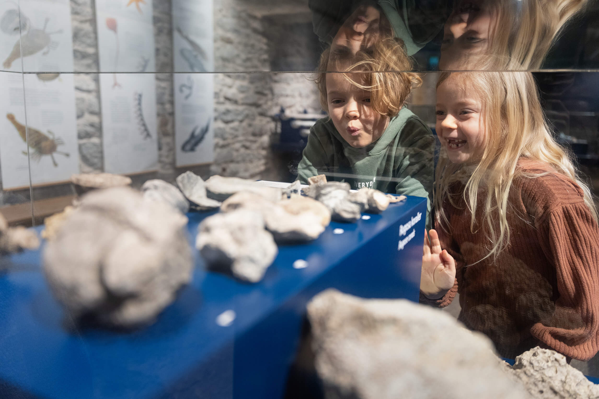 Två små barn tittar ivrigt på stenar och fossil som visas i en glasmonter på ett museum. Deras reflektioner syns i glaset medan de ler och betraktar utställningen noga.