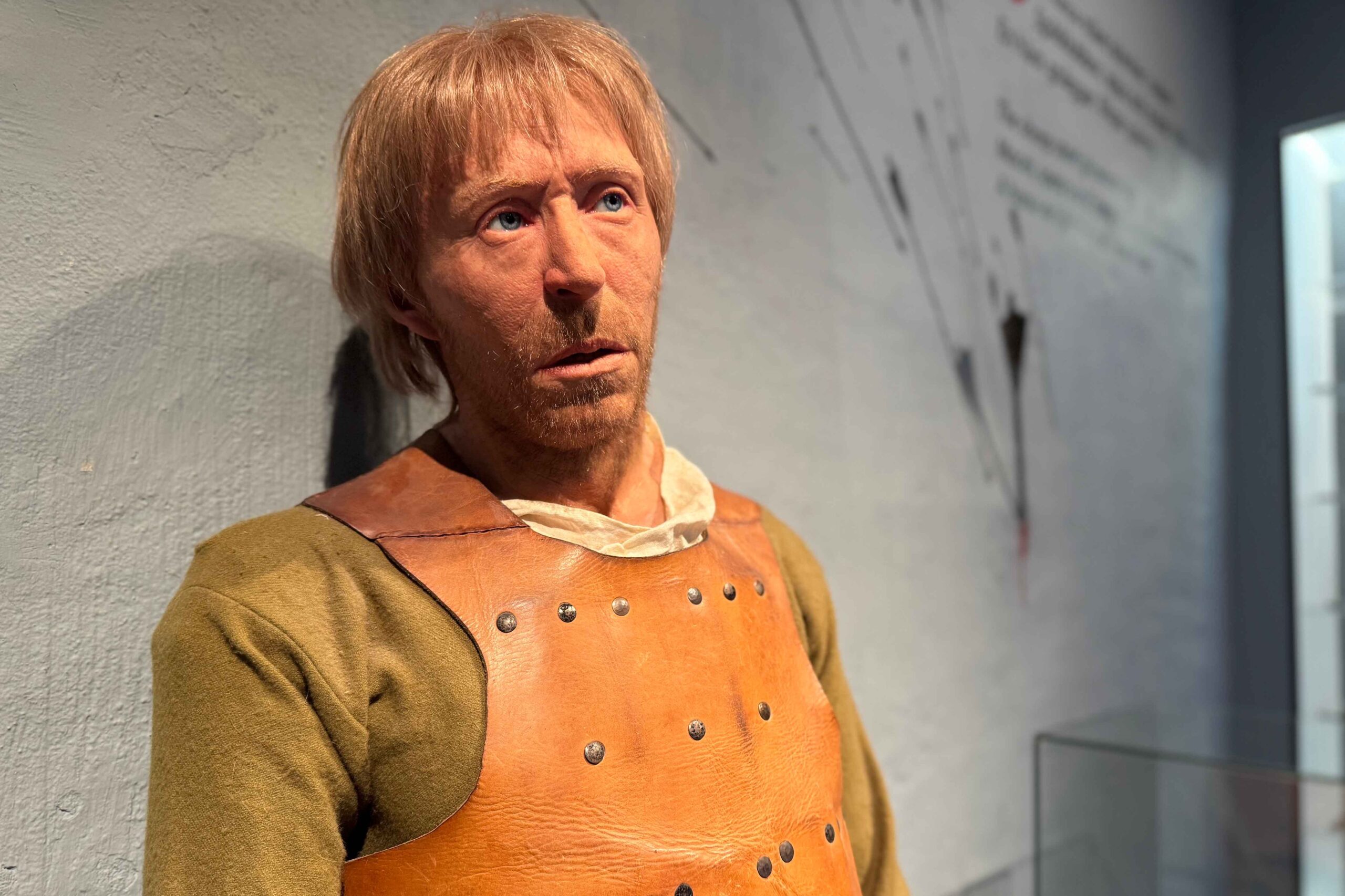En realistisk museiskyltdocka föreställande en man med blont hår, iklädd en brun läderbröstskyddsväst över en grön skjorta, står mot en grå vägg med diagram och text i bakgrunden.