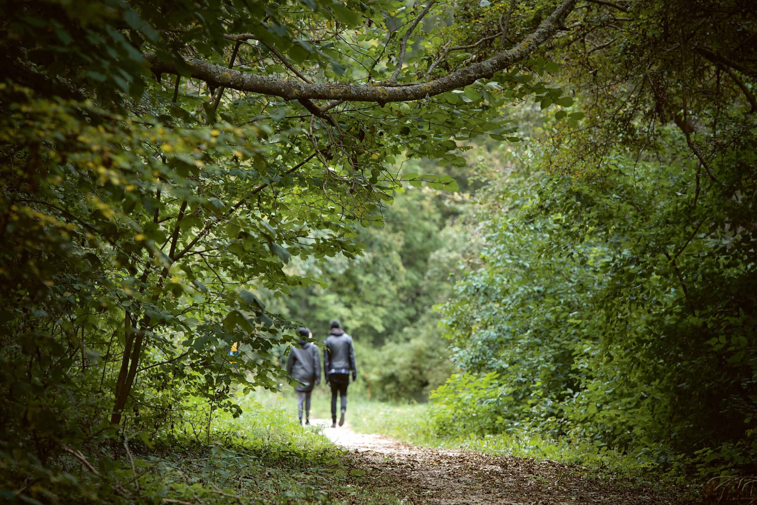 Två personer klädda i mörka kläder går tillsammans på en stig genom en frodig, grön skog. Grenar välver sig ovanför och solljuset silas genom löven, vilket skapar en fridfull, naturlig scen.