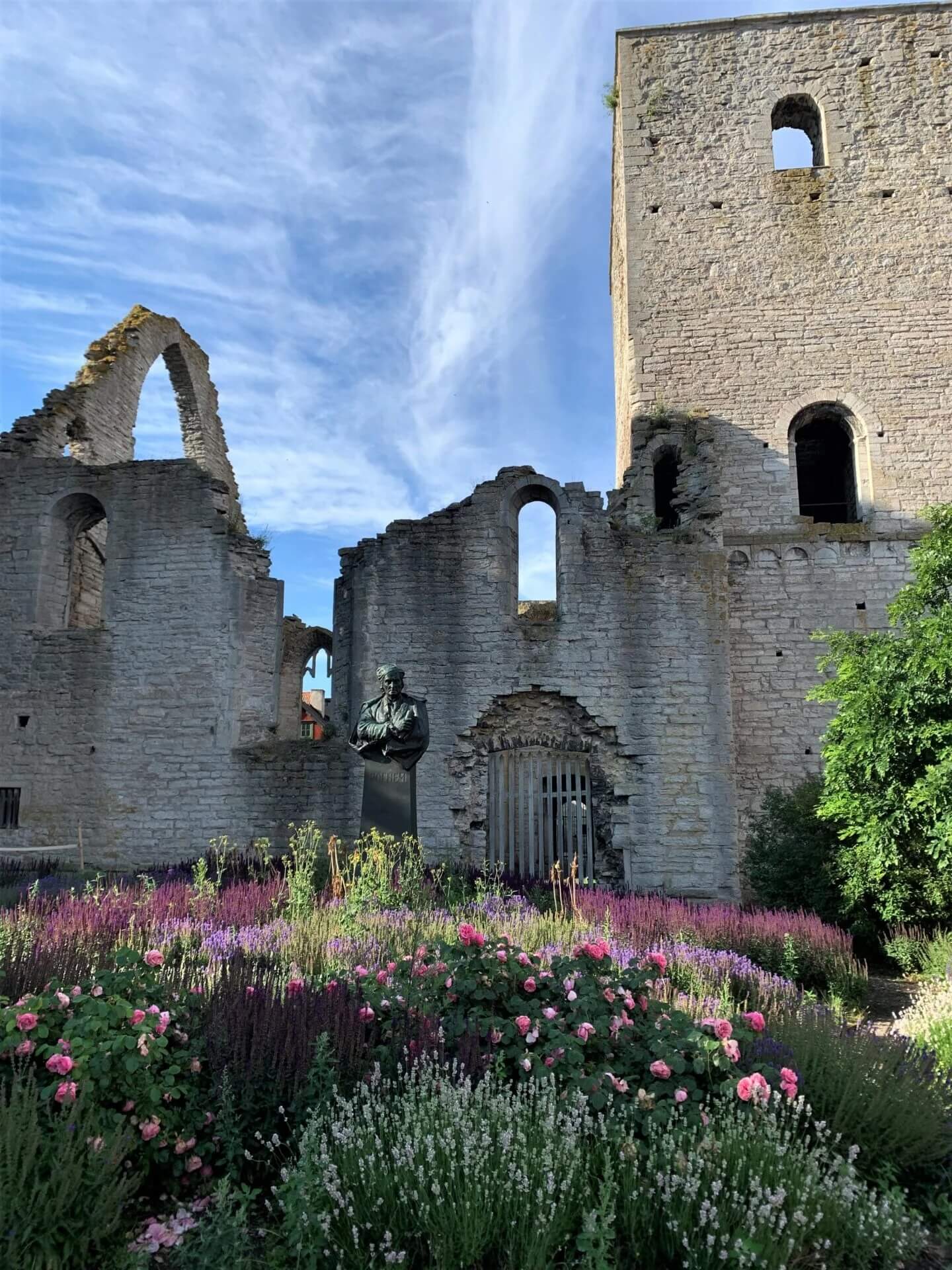 Ruinerna av en gammal stenbyggnad med välvda fönster och ett högt torn står bakom en trädgård fylld med blommande rosa och lila blommor; en staty syns nära mitten.