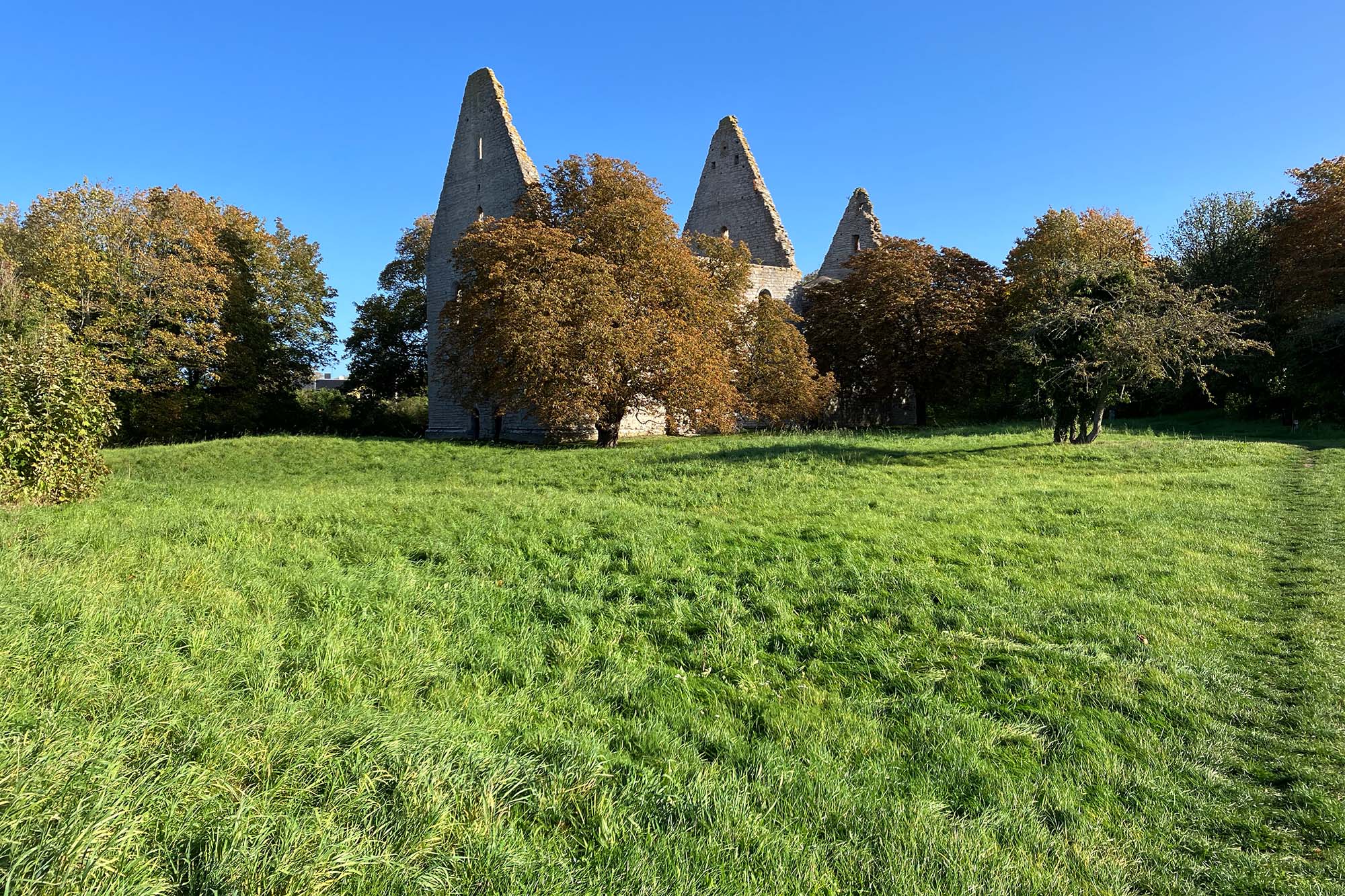 En kyrkoruin. Gröna kullar framför. Gotland.