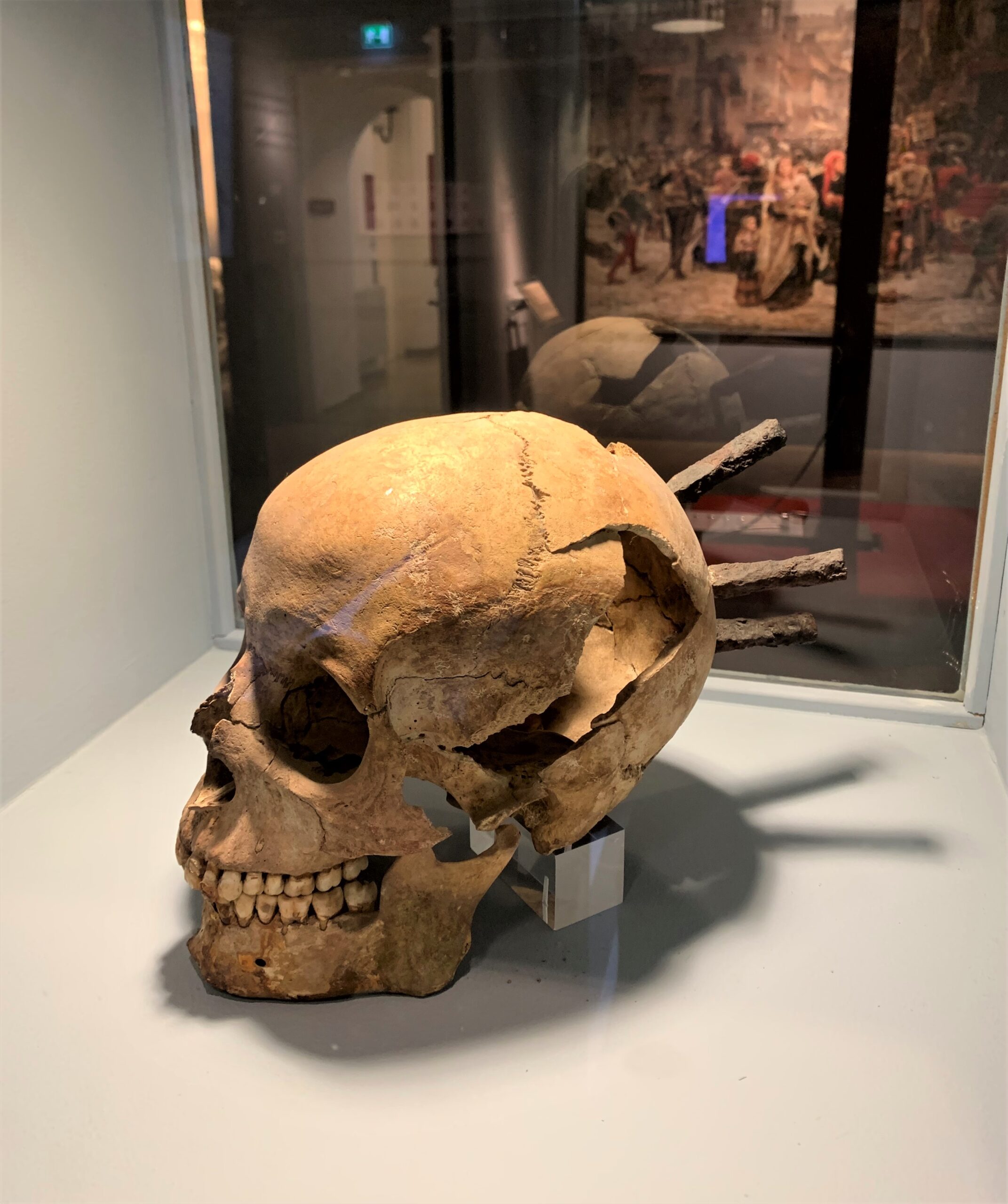 Ett skelett. Monter på ett museum. Pilar i bakhuvudet. 
