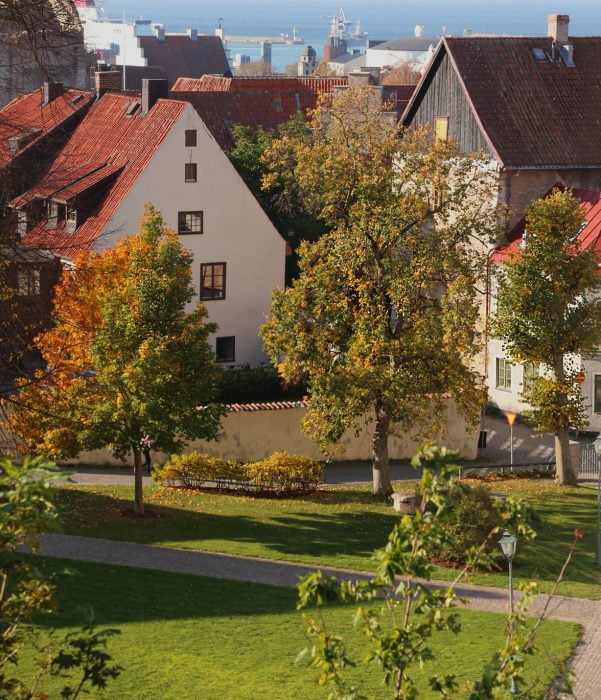 Höstbild med medeltida hus i Visby.